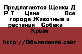 Предлагаются Щенки Д.Р.Т.  › Цена ­ 15 000 - Все города Животные и растения » Собаки   . Крым